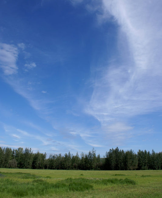 Protect and Conserve This Planet